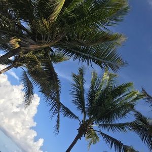 Meet your Posher, Ali